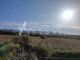 Οικόπεδο 2.000 τ.μ. για πώληση, Κυκλάδες, Πάρος-thumb-4