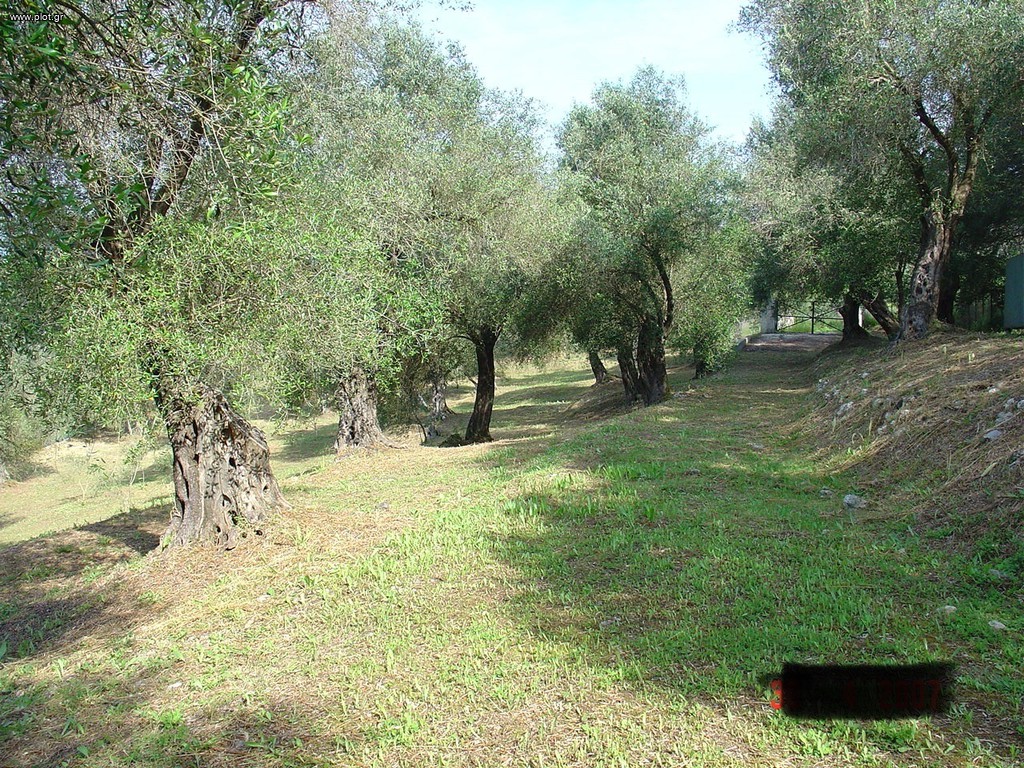 Βίλλα 338 τ.μ. πρός πώληση, Ν. Κέρκυρας, Κέρκυρα