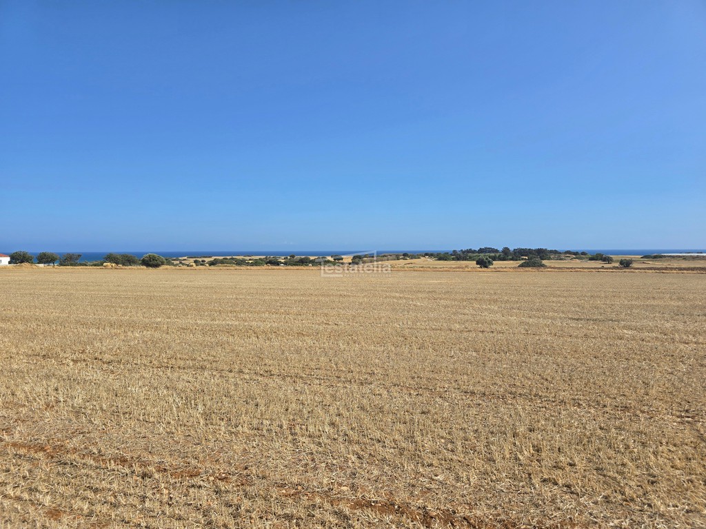 Αγροτεμάχια 4.525 τ.μ. πρός πώληση, Λάρνακα, Μαζωτός