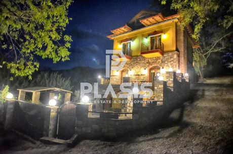 Hotel 500sqm for sale-Aridaia