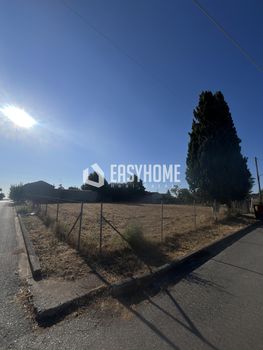Land plot 900sqm for sale-Kallikrateia » Sozopoli