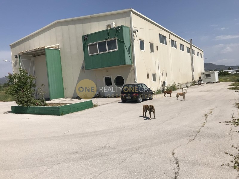 Αποθήκη 1.100 τ.μ. για πώληση, Εύβοια, Αυλίδα