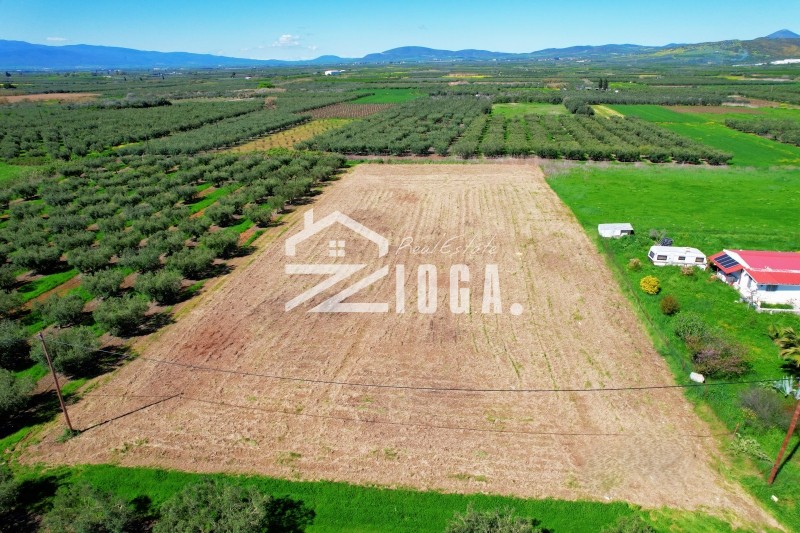 Αγροτεμάχια 5.000 τ.μ. πρός πώληση, Μαγνησία, Νέα Αγχίαλος