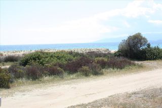 Αγροτεμάχια 30.000 τ.μ. για πώληση, Χαλκιδική, Σιθωνία-thumb-6