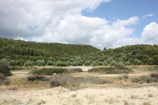 Parcel 30.000 sqm for sale