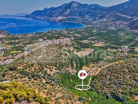 Αγροτεμάχια 4.884,33τ.μ. για πώληση-Επίδαυρος