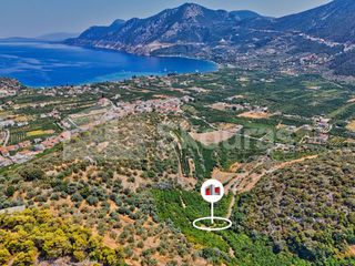Αγροτεμάχια 4.884,33 τ.μ. για πώληση