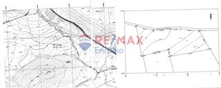 Αγροτεμάχια 4.038 τ.μ. για πώληση