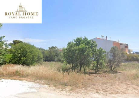 Land plot 1.100sqm for sale-Artemida (Loutsa) » Ypapanti