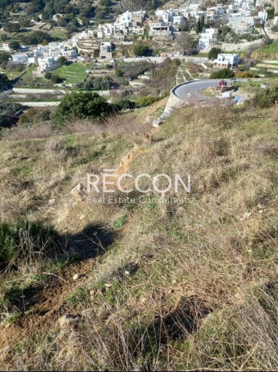Οικόπεδο 8.000 τ.μ. πρός πώληση, Κυκλάδες, Νάξος - Δρυμαλία
