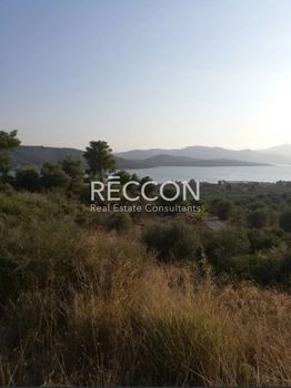 Land plot 1.056sqm for sale-Malesina » Theologos