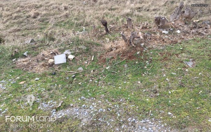 Οικόπεδο 445 τ.μ. για πώληση, Θεσσαλονίκη - Περιφ/Κοί Δήμοι, Πανόραμα