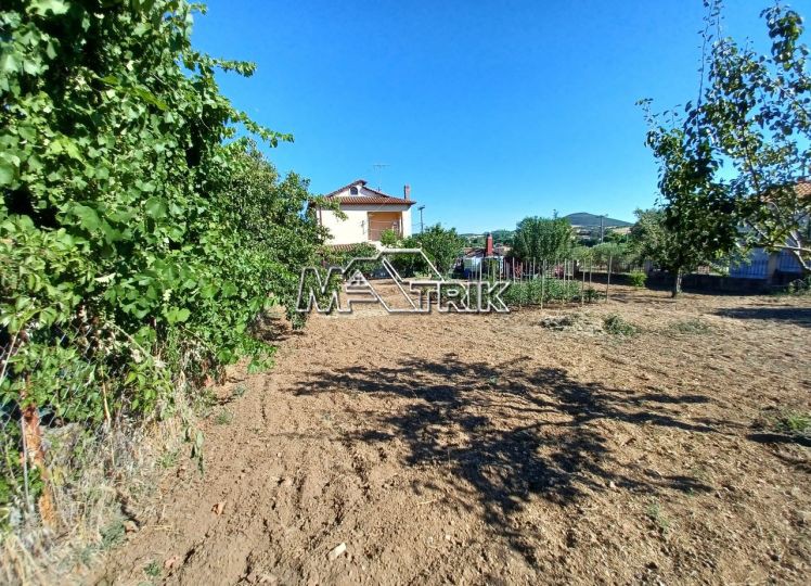 Οικόπεδο 504 τ.μ. πρός πώληση, Χαλκιδική, Παναγιά