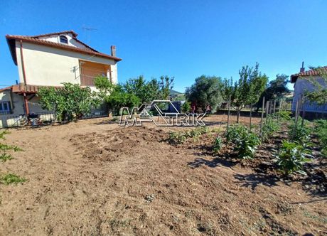 Οικόπεδο 504τ.μ. για πώληση-Παναγιά » Άγιος ιωάννης πρόδρομος