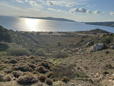 Αγροτεμάχια 5.170τ.μ. για πώληση-Σκύρος
