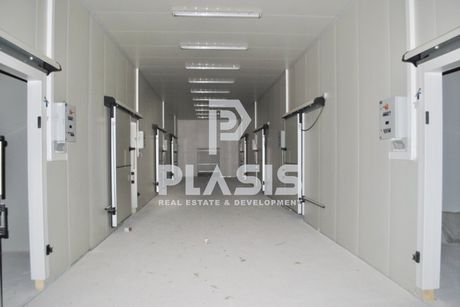 Industrial space 3.047sqm for sale-Oreokastro