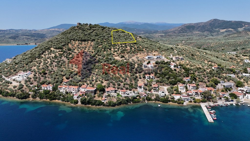 Αγροτεμάχια 6.230 τ.μ. πρός πώληση, Μαγνησία, Πτελεός