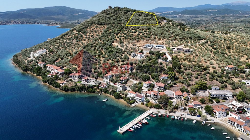 Αγροτεμάχια 6.230 τ.μ. πρός πώληση, Μαγνησία, Πτελεός