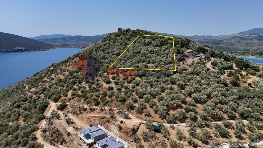 Αγροτεμάχια 6.230 τ.μ. πρός πώληση, Μαγνησία, Πτελεός