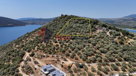 Parcel 6.230sqm for sale-Pteleos