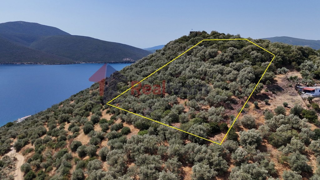 Αγροτεμάχια 6.230 τ.μ. πρός πώληση, Μαγνησία, Πτελεός