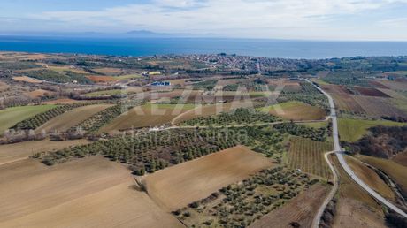 Αγροτεμάχια 7.800τ.μ. για πώληση-Πύδνα » Σφενδάμι