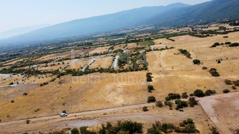 Αγροτεμάχια 9.586 τ.μ. προς πώληση, Κέντρο Λιτοχώρου