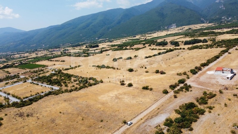 Αγροτεμάχια 9.586 τ.μ. προς πώληση, Κέντρο Λιτοχώρου
