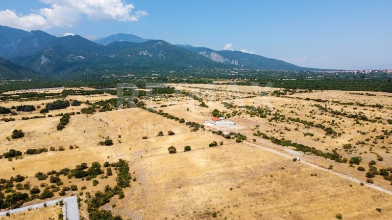 Αγροτεμάχια 9.586 τ.μ. προς πώληση, Κέντρο Λιτοχώρου