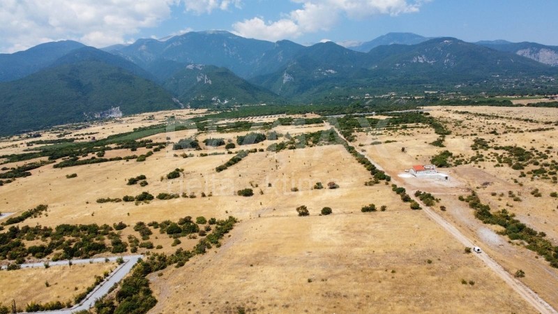 Αγροτεμάχια 9.586 τ.μ. προς πώληση, Κέντρο Λιτοχώρου
