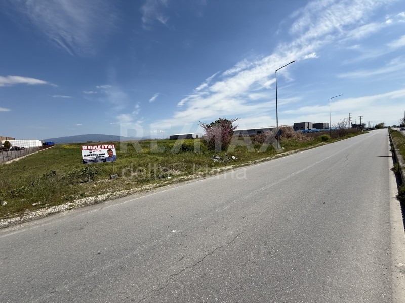 Αγροτεμάχια 16.683 τ.μ. προς πώληση, Ομορφοχώρι Πλατυκάμπου