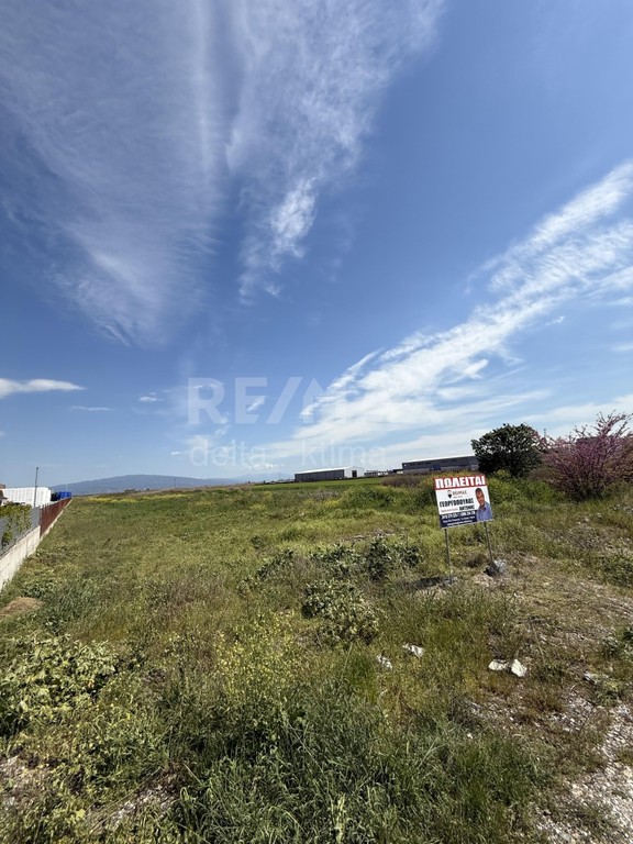 Αγροτεμάχια 16.683 τ.μ. προς πώληση, Ομορφοχώρι Πλατυκάμπου