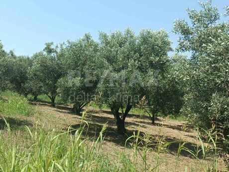 Οικόπεδο 2.460τ.μ. για πώληση-Μεθώνη » Μακρύγιαλος