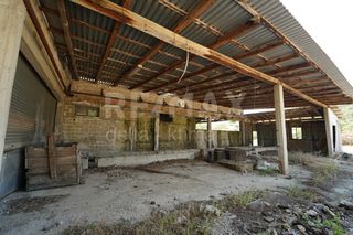 Αποθήκη 1.400 τ.μ. για πώληση, Ν. Λάρισας, Αγιά-thumb-2