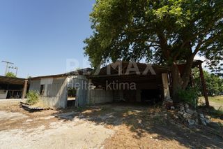 Αποθήκη 1.400 τ.μ. για πώληση, Ν. Λάρισας, Αγιά-thumb-5