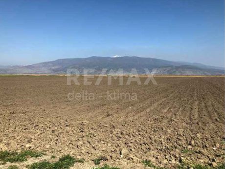 Αγροτεμάχια 57.462 τ.μ. για πώληση
