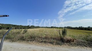 Αγροτεμάχια 6.500 τ.μ. για πώληση