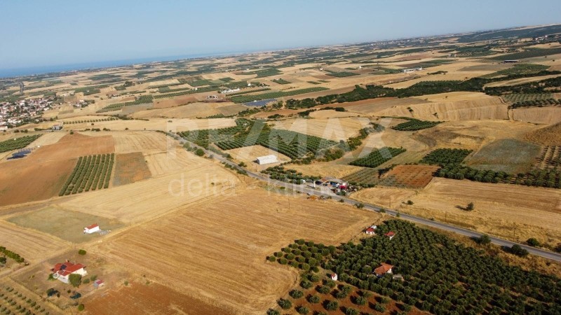 Αγροτεμάχια 4.428 τ.μ. προς πώληση, Πετράλωνα Τρίγλιας