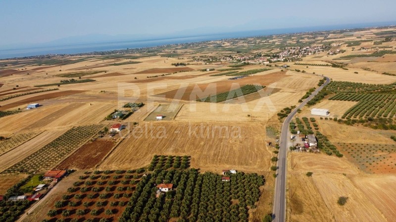 Αγροτεμάχια 4.428 τ.μ. προς πώληση, Πετράλωνα Τρίγλιας