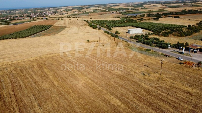 Αγροτεμάχια 4.428 τ.μ. προς πώληση, Πετράλωνα Τρίγλιας