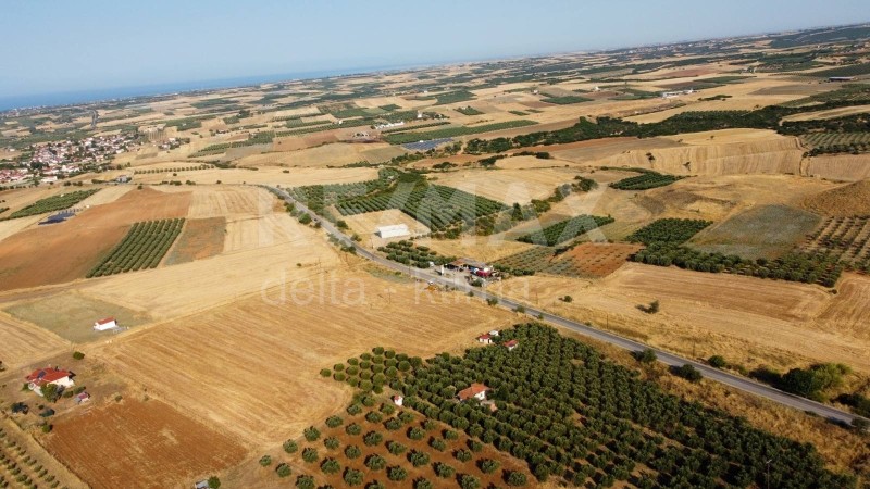 Αγροτεμάχια 4.428 τ.μ. προς πώληση, Πετράλωνα Τρίγλιας