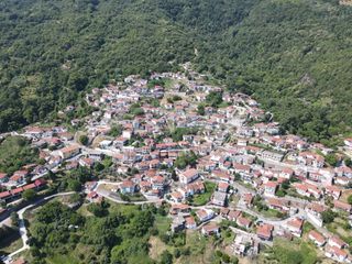 Κατάστημα 240 τ.μ. για πώληση, Ν. Λάρισας, Ευρύμενο-thumb-3