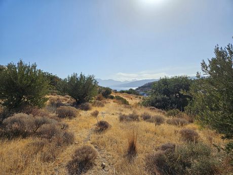 Οικόπεδο 3.666τ.μ. για πώληση-Άγιος νικόλαος » Κάλυβος