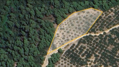 Land plot 5.975sqm for sale-Sithonia » Nikiti