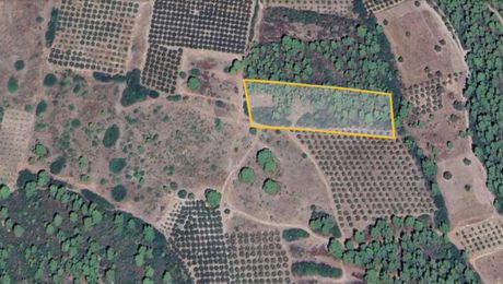 Land plot 10.000sqm for sale-Ormilia » Metamorfosi