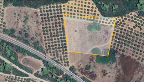 Land plot 10.000sqm for sale-Ormilia » Metochi