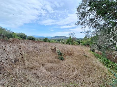 Land plot 5.500sqm for sale-Corfu » Pareli