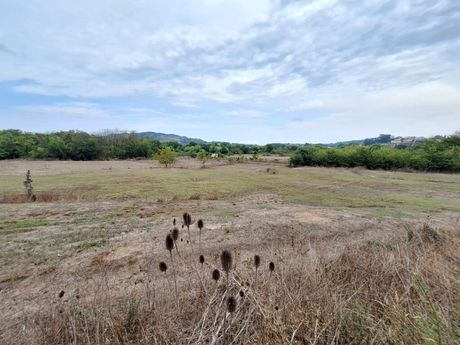 Land plot 8.000sqm for sale-Corfu » Pareli