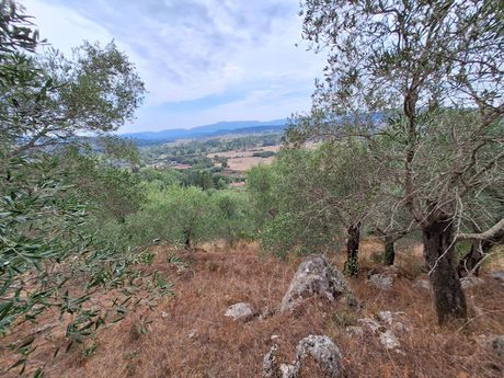 Land plot 13.000sqm for sale-Corfu » Pareli