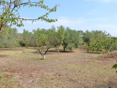 Land plot 2.200sqm for sale-Methoni » Makrigialos
